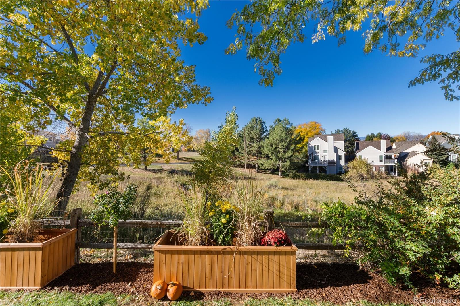 MLS Image #48 for 9047  mountain laurel way,highlands ranch, Colorado