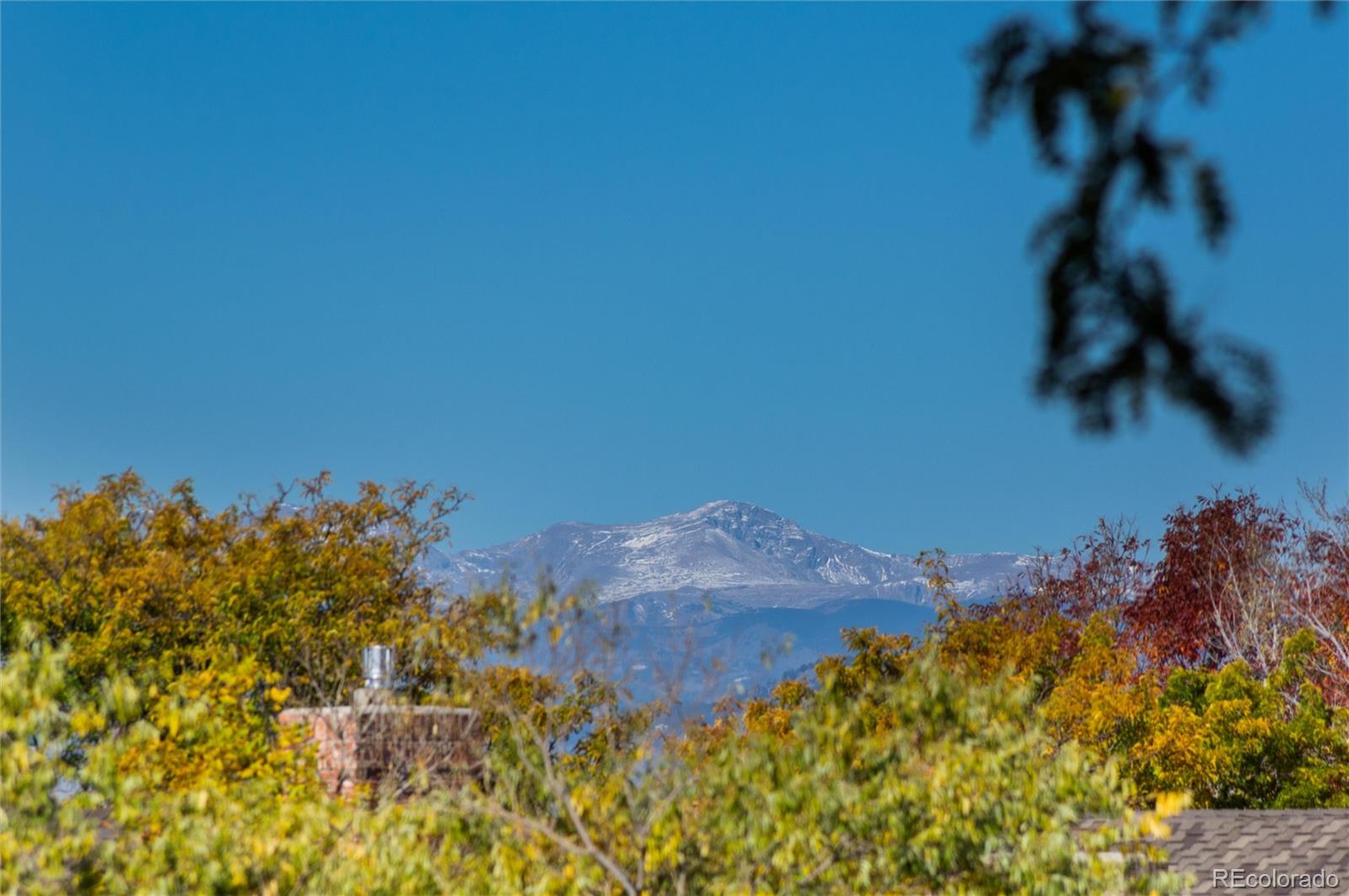 MLS Image #49 for 9047  mountain laurel way,highlands ranch, Colorado