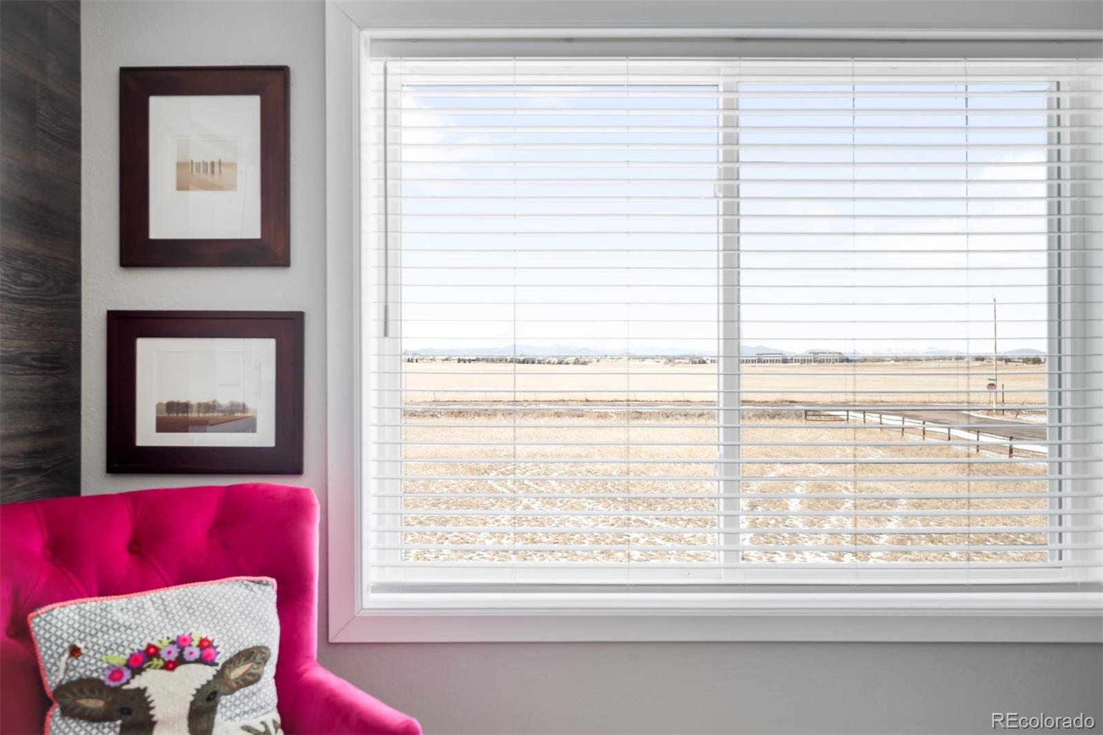 MLS Image #21 for 3046  cottonwood avenue,parker, Colorado