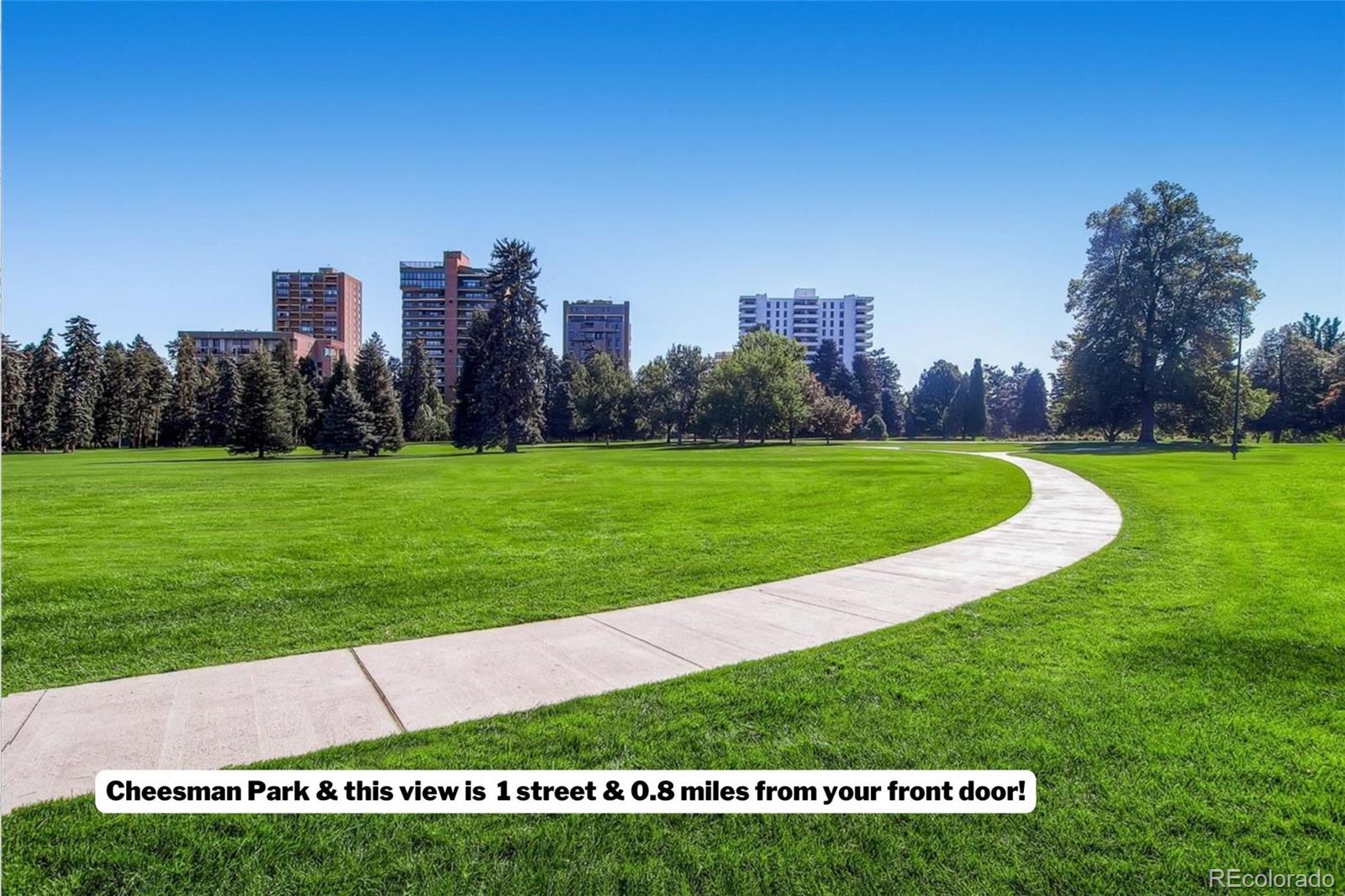 MLS Image #25 for 1045 n clarkson street 105,denver, Colorado