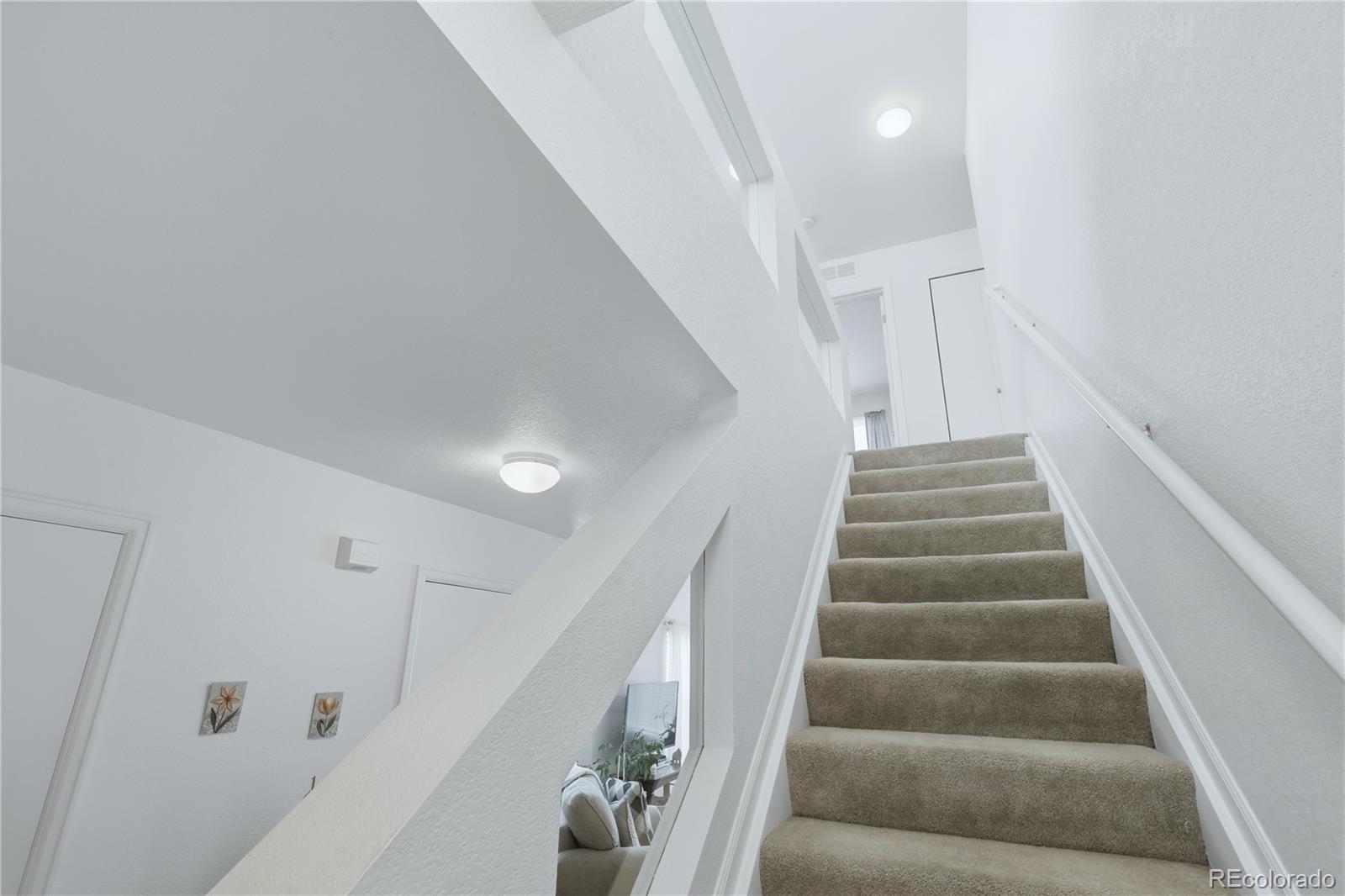 MLS Image #14 for 21417 e 55th place,denver, Colorado