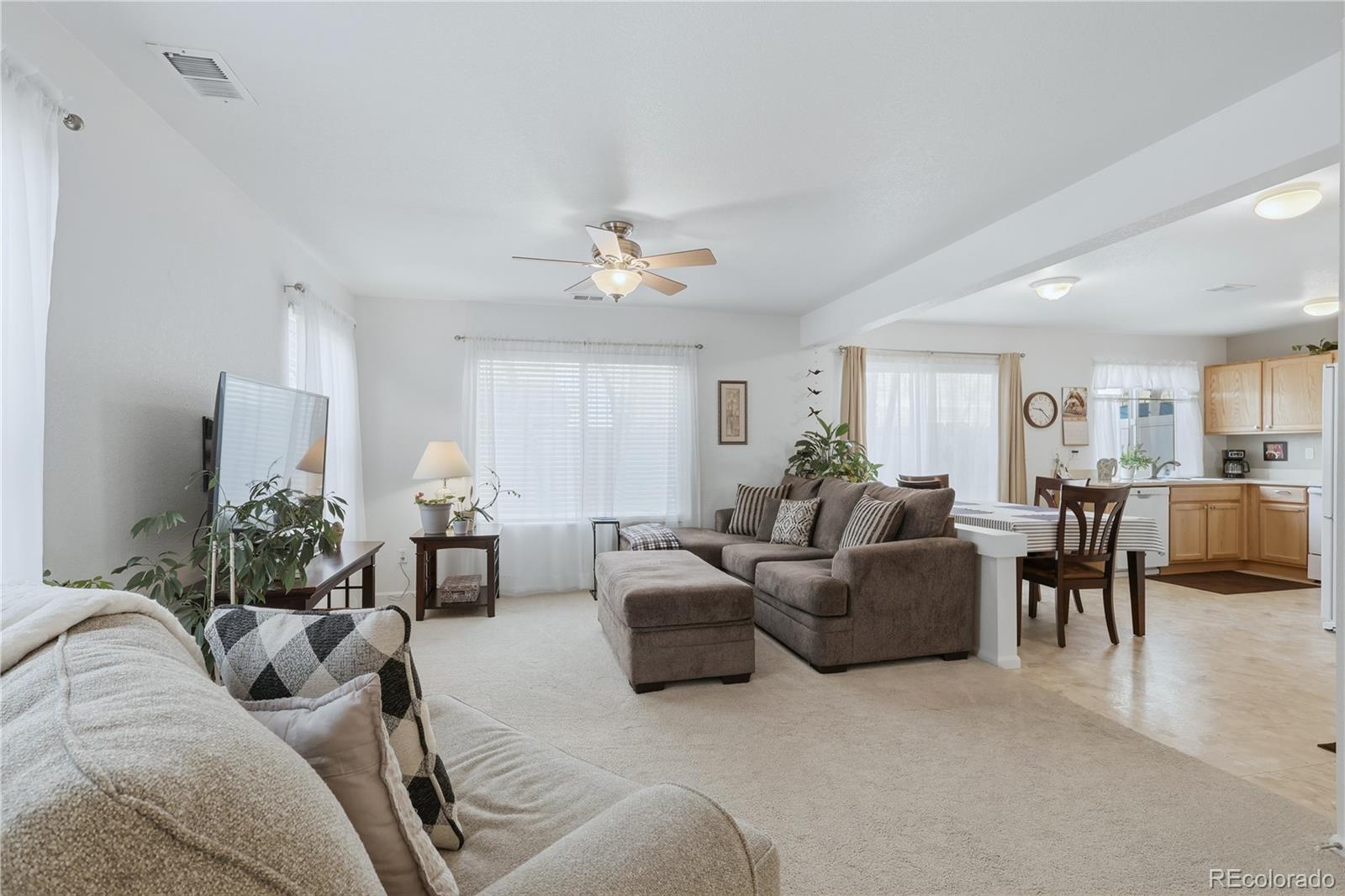 MLS Image #3 for 21417 e 55th place,denver, Colorado