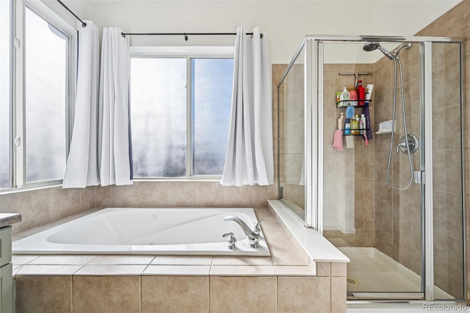 MLS Image #14 for 24486 e louisiana circle,aurora, Colorado