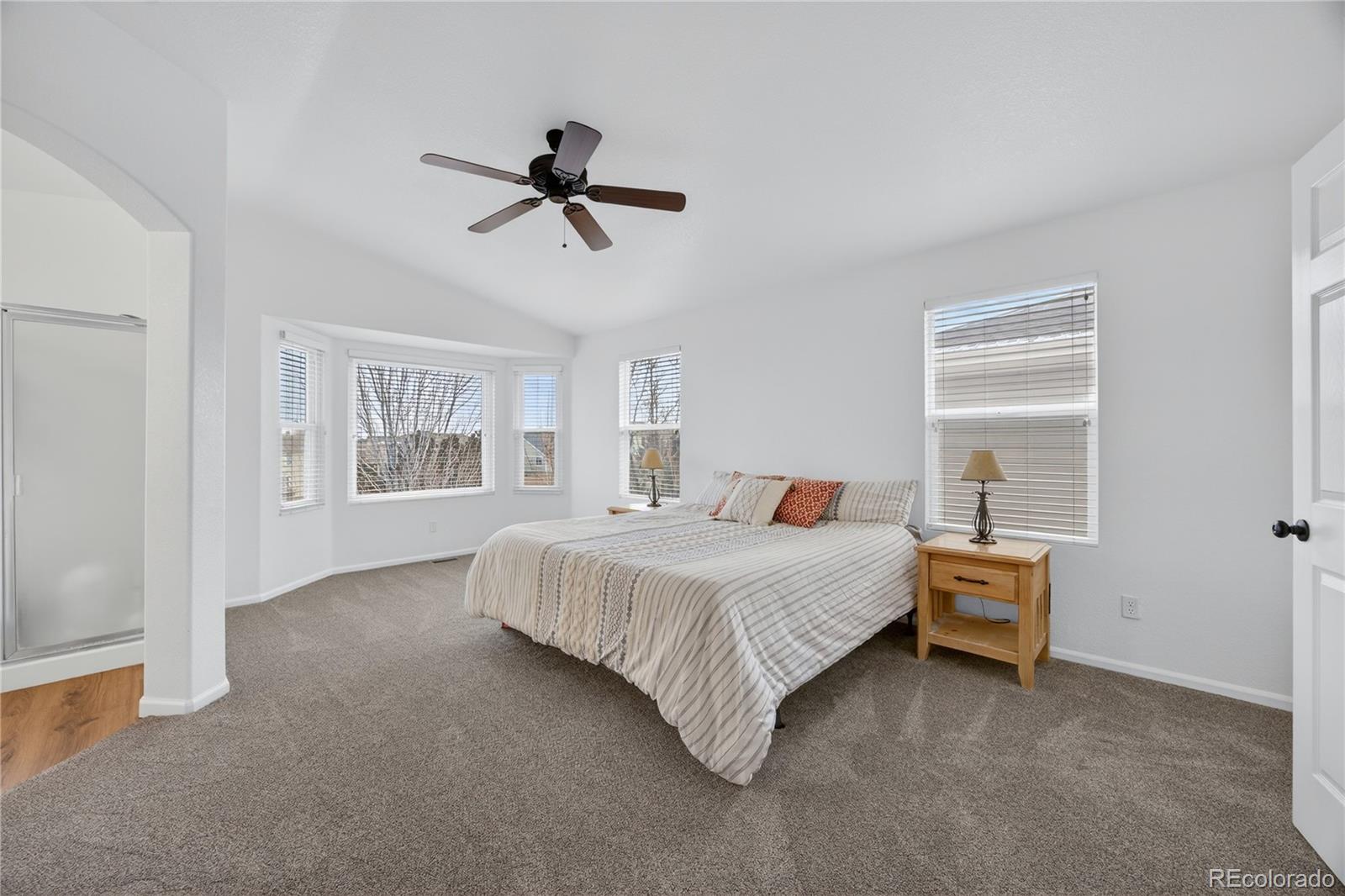 MLS Image #19 for 16749  trail sky circle,parker, Colorado