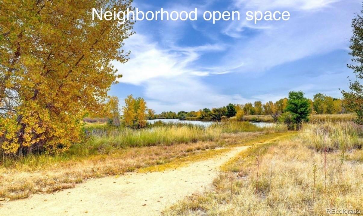 MLS Image #31 for 10592  butte drive,longmont, Colorado
