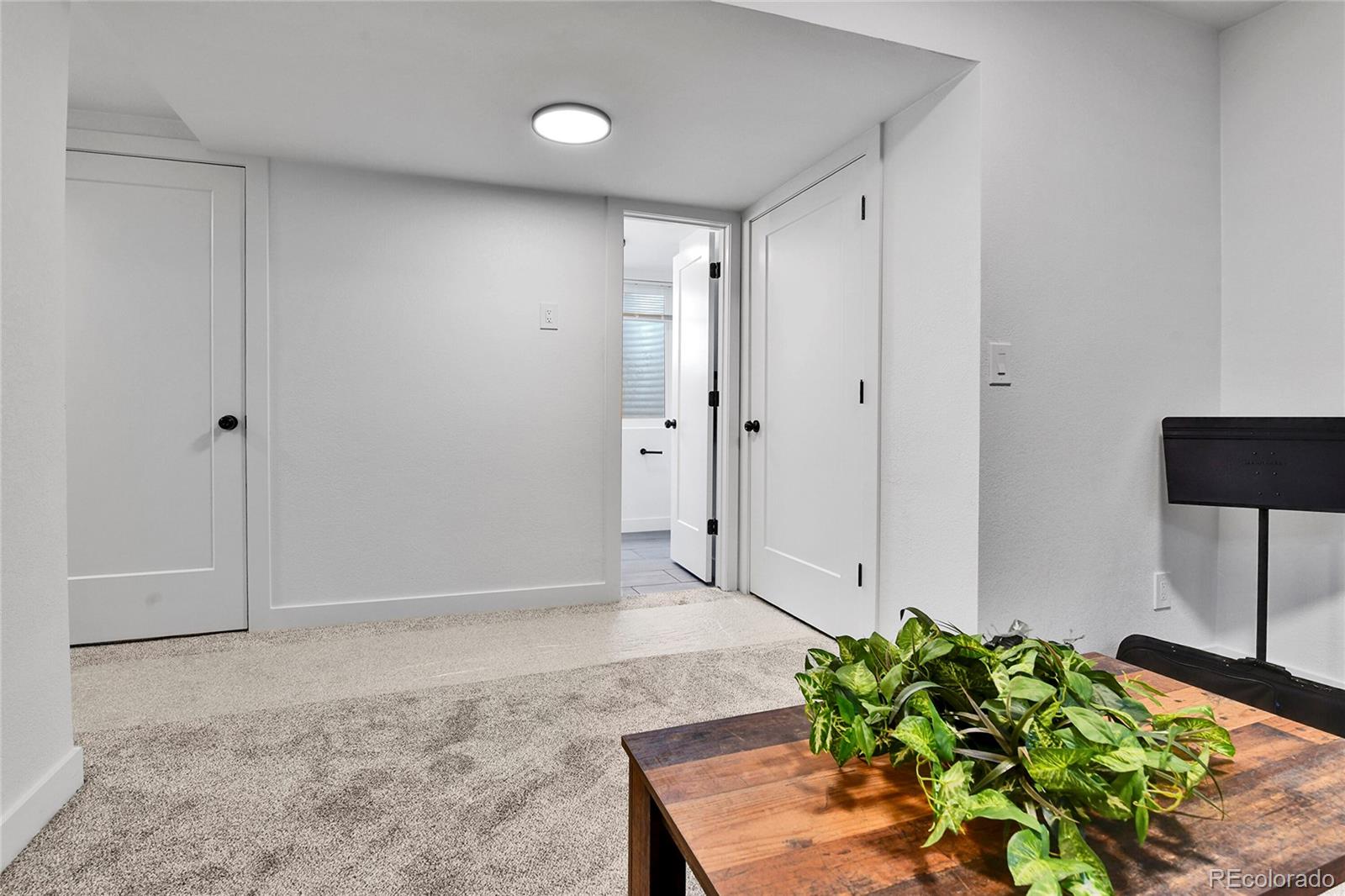 MLS Image #38 for 4345  sable street,denver, Colorado