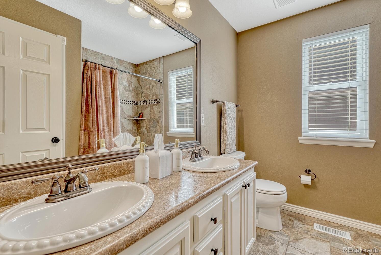 MLS Image #17 for 10312  royal eagle lane,highlands ranch, Colorado