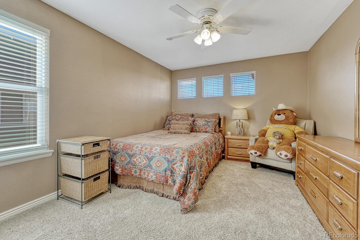 MLS Image #19 for 10312  royal eagle lane,highlands ranch, Colorado