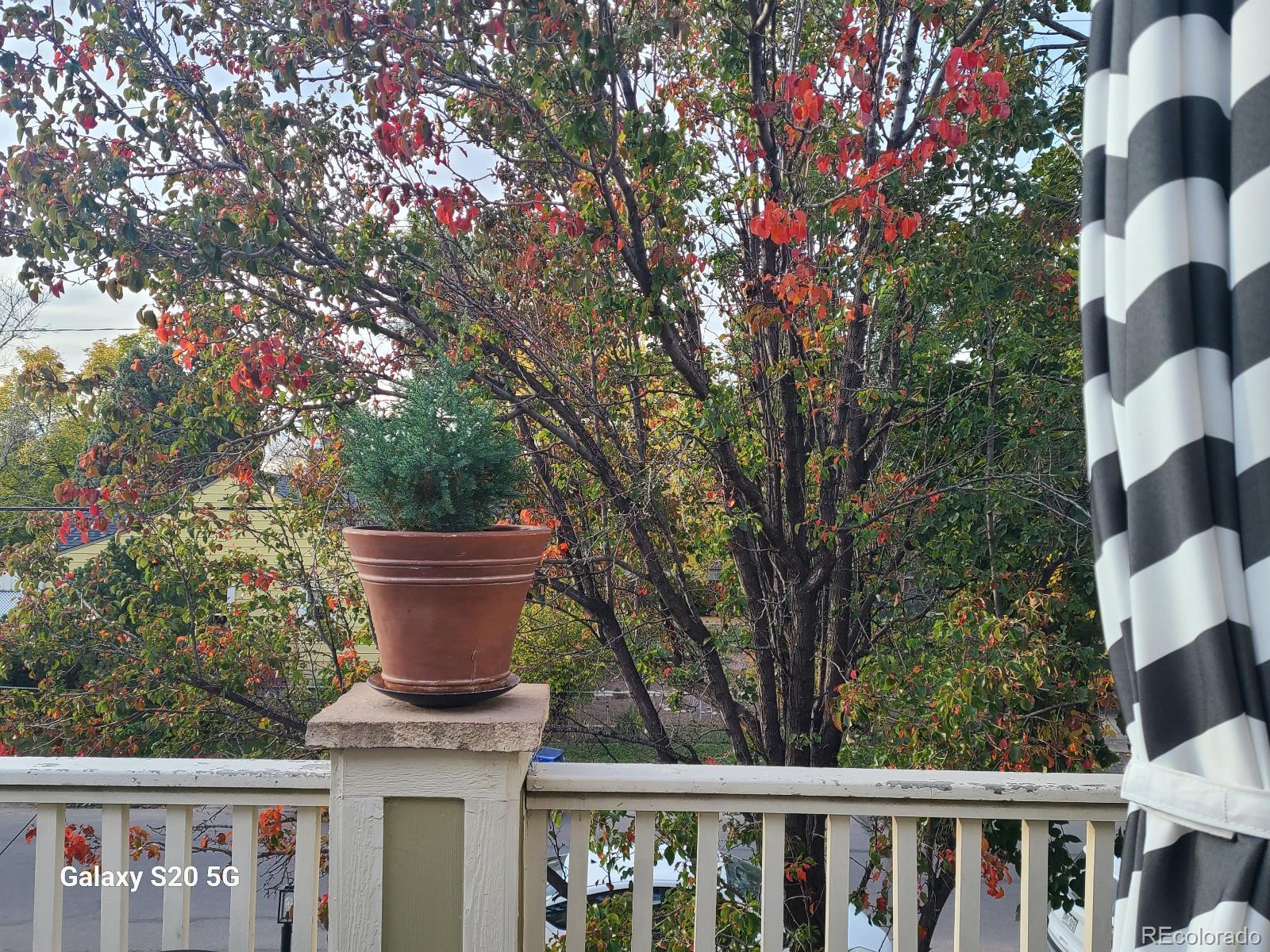 MLS Image #29 for 5343 w 16th avenue ,lakewood, Colorado