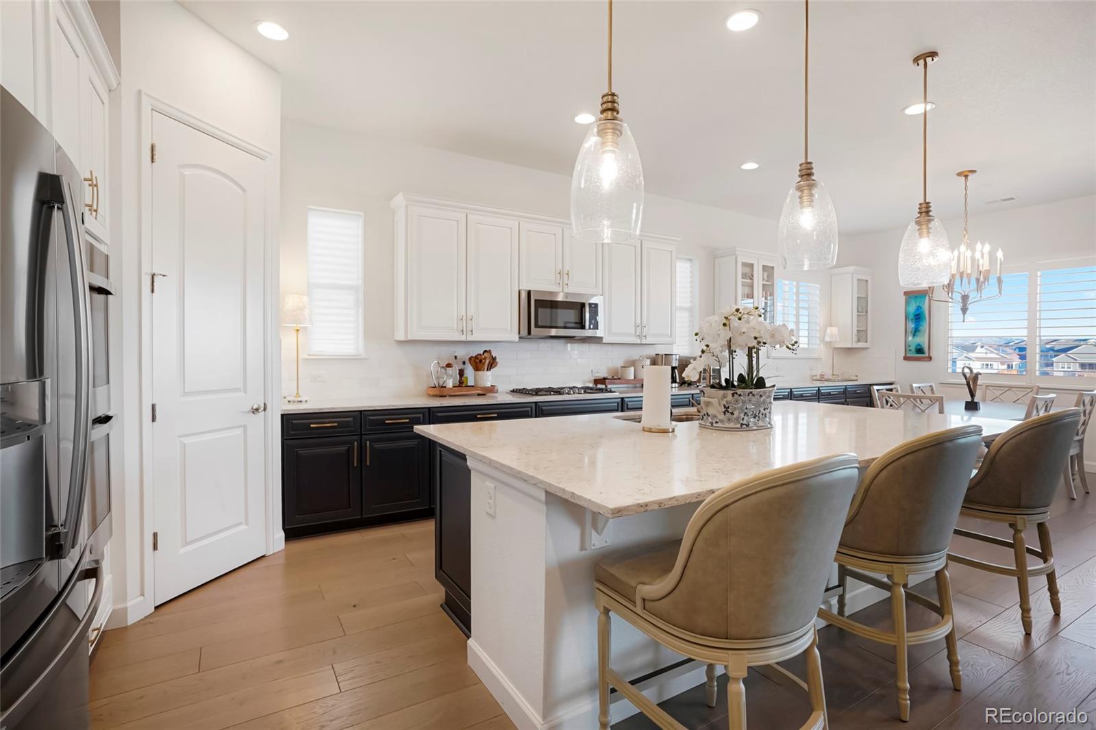 MLS Image #10 for 9150  basalt lane,littleton, Colorado