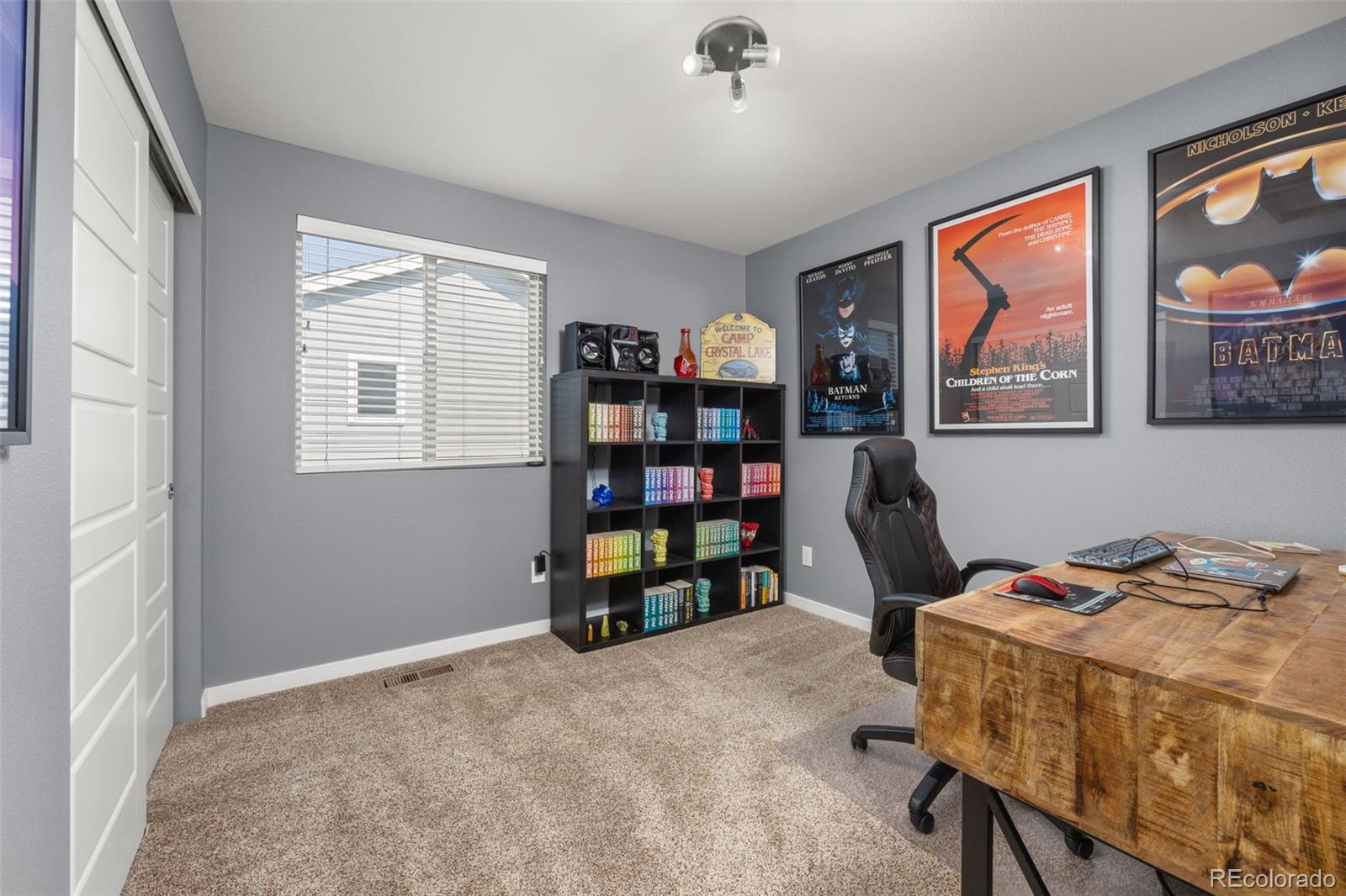 MLS Image #18 for 10020  richfield street,commerce city, Colorado