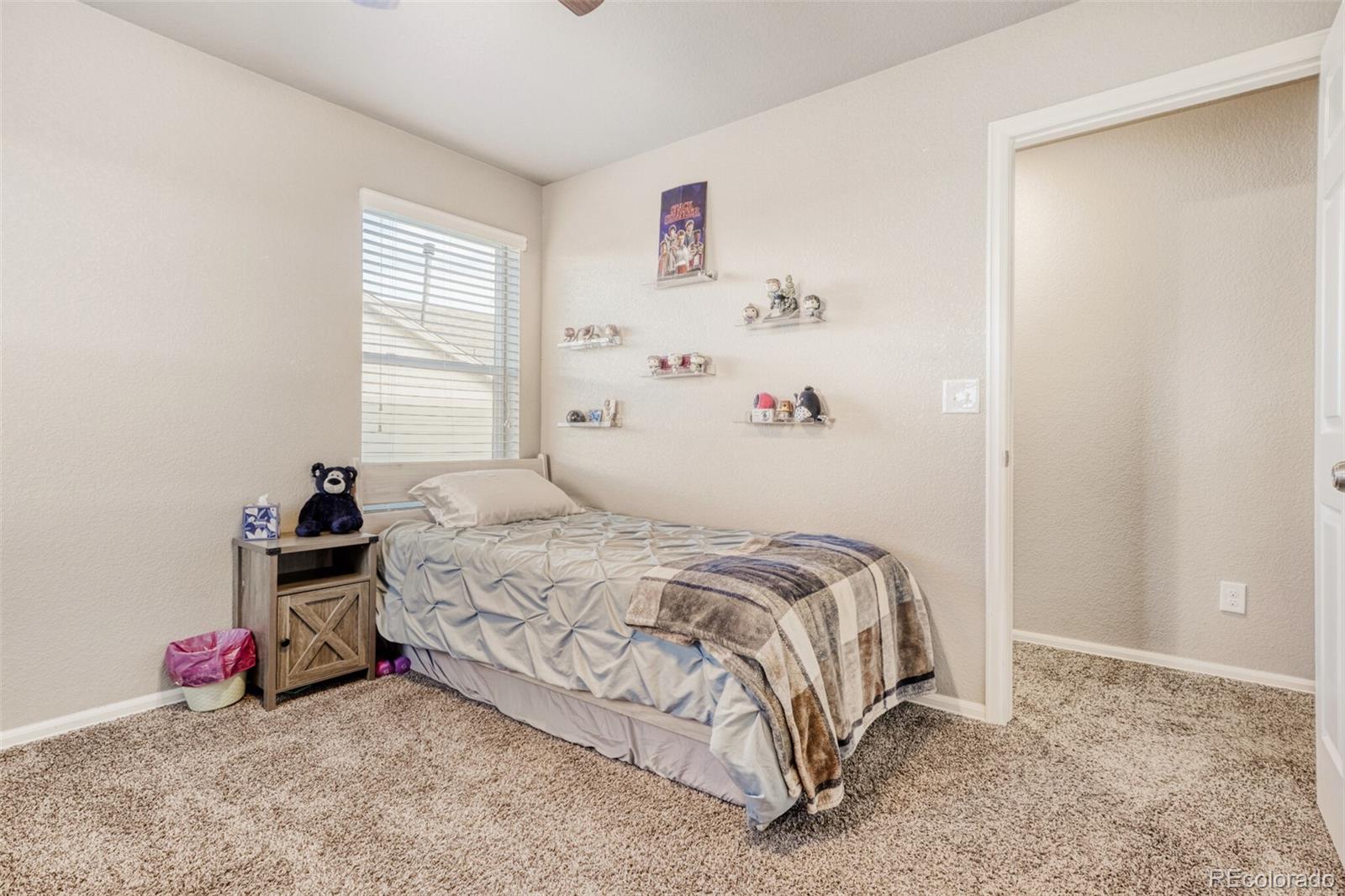 MLS Image #27 for 2211  shadow rider circle,castle rock, Colorado