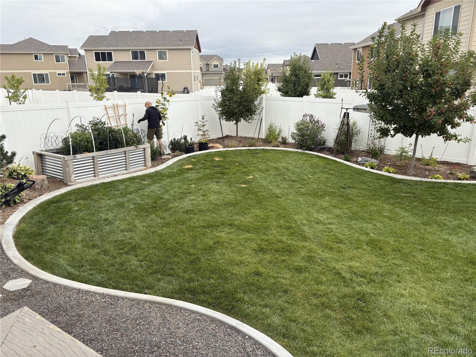 MLS Image #32 for 510  lapis place,loveland, Colorado