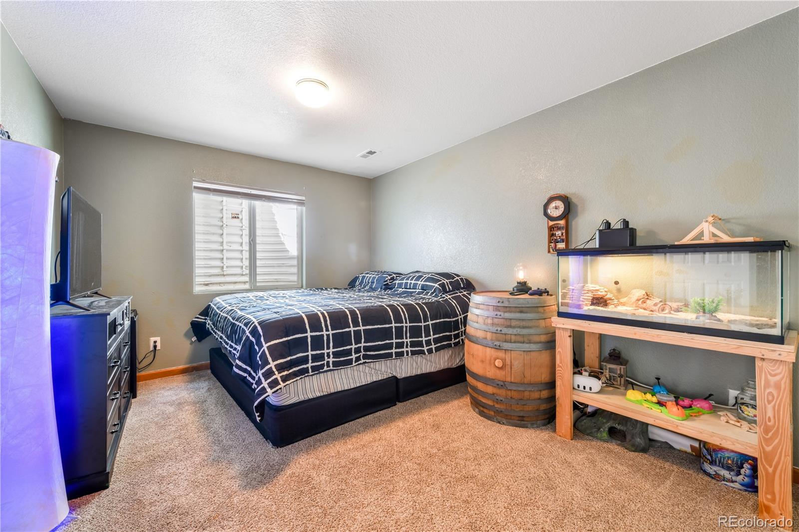 MLS Image #29 for 8141  sedgewick drive,colorado springs, Colorado