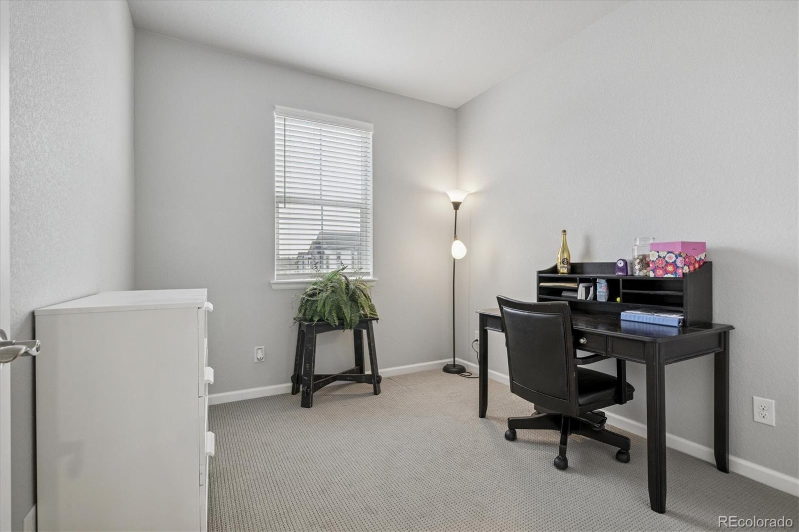 MLS Image #14 for 12488  childers street ,parker, Colorado