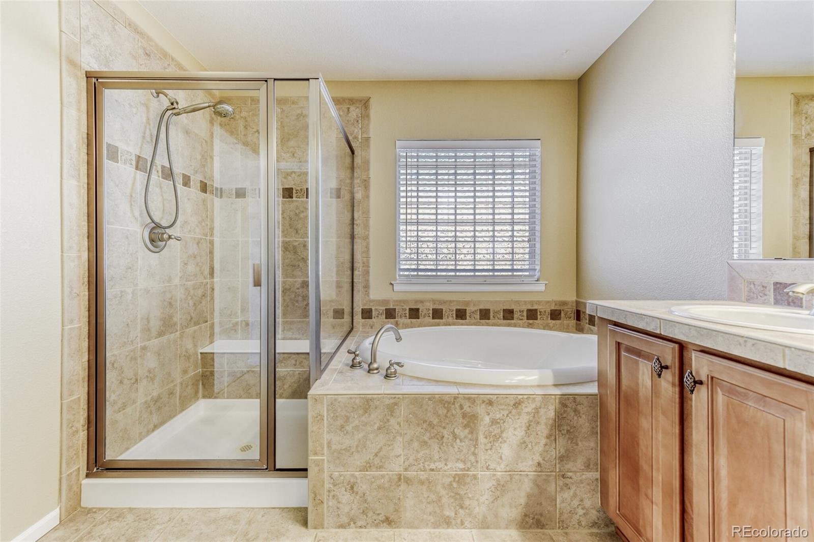 MLS Image #17 for 3856  stonebrush drive,highlands ranch, Colorado