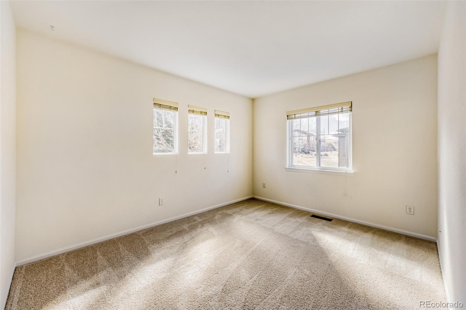 MLS Image #19 for 3856  stonebrush drive,highlands ranch, Colorado