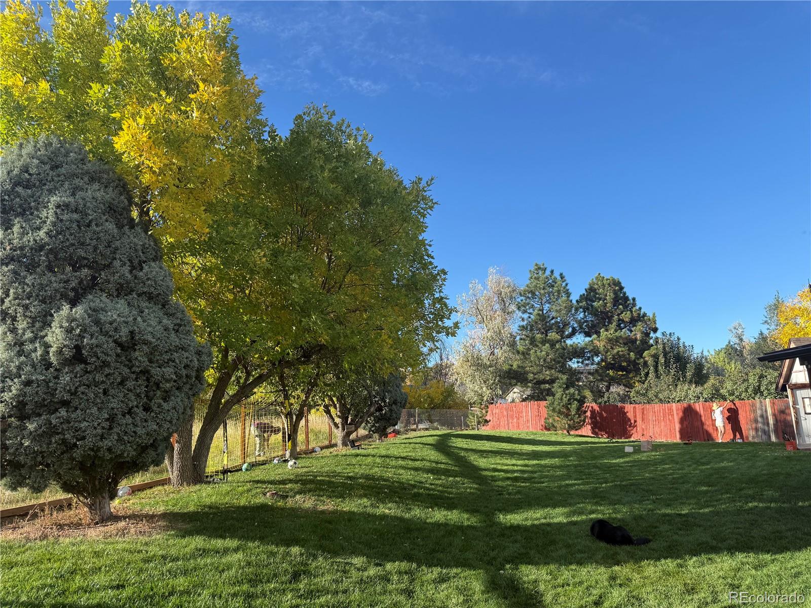 MLS Image #44 for 1531 s queen street,denver, Colorado