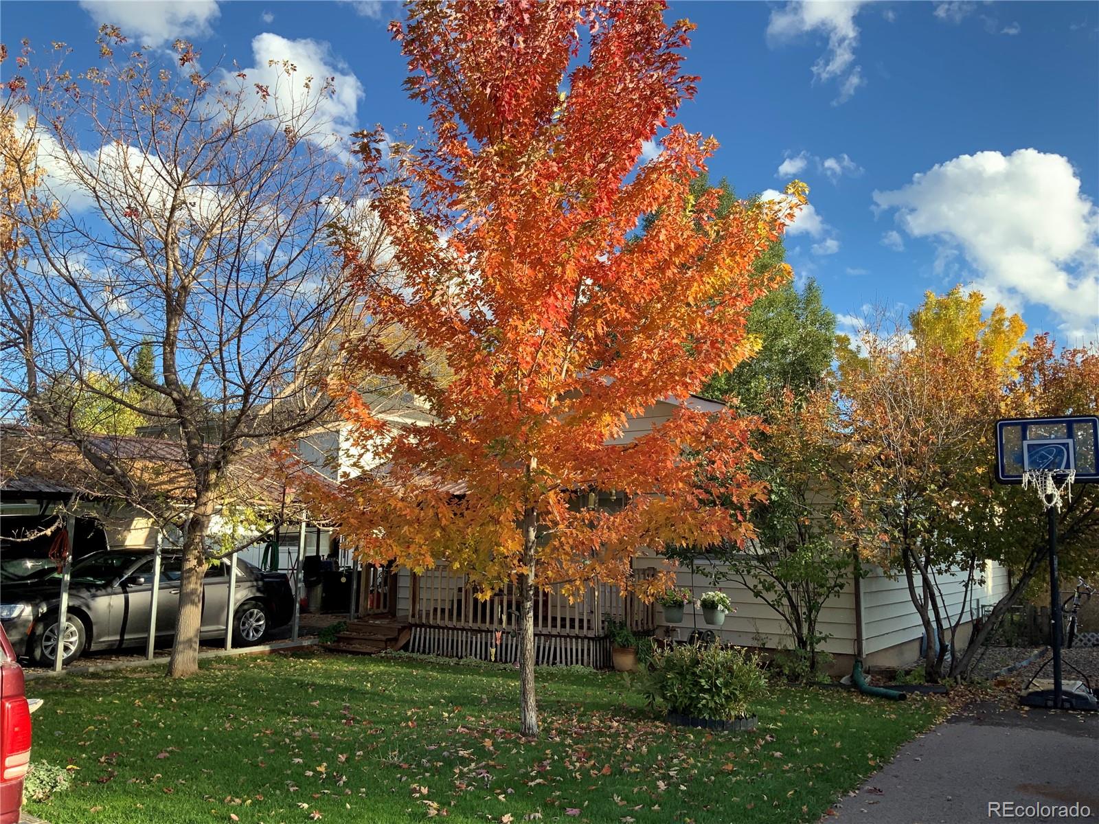 MLS Image #0 for 866  cleveland street,meeker, Colorado