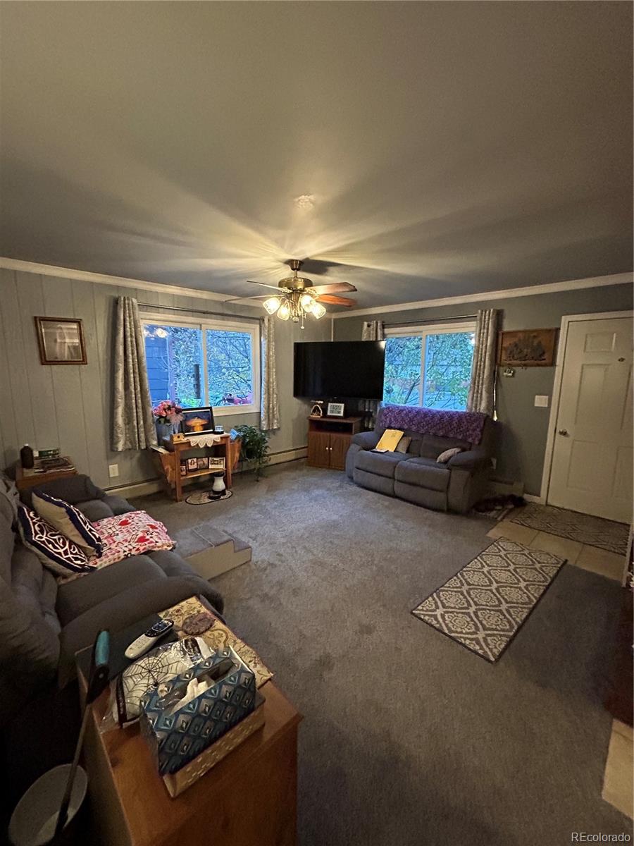 MLS Image #1 for 866  cleveland street,meeker, Colorado