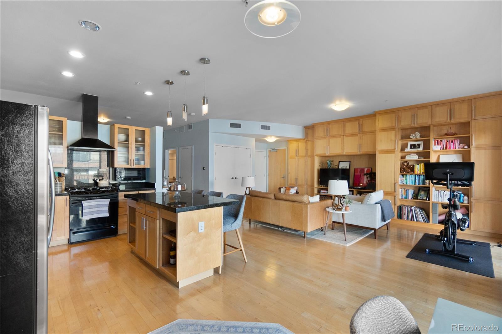 MLS Image #2 for 1438  little raven street 310,denver, Colorado