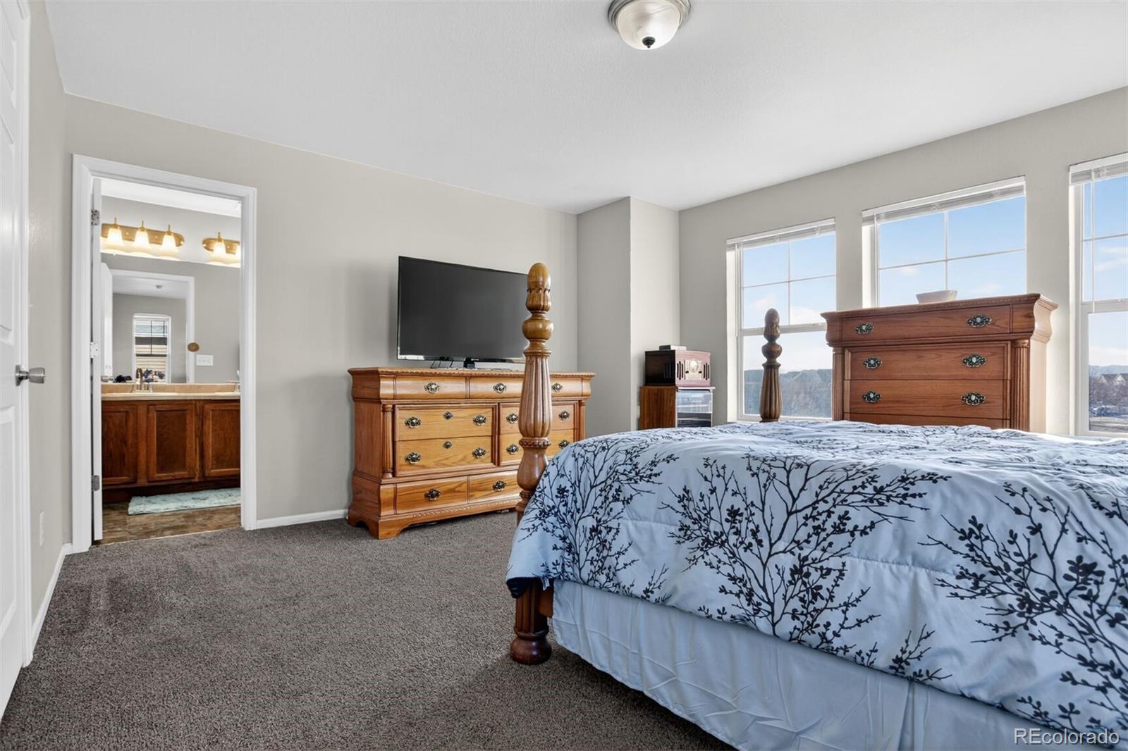 MLS Image #10 for 10968  dayton way,commerce city, Colorado