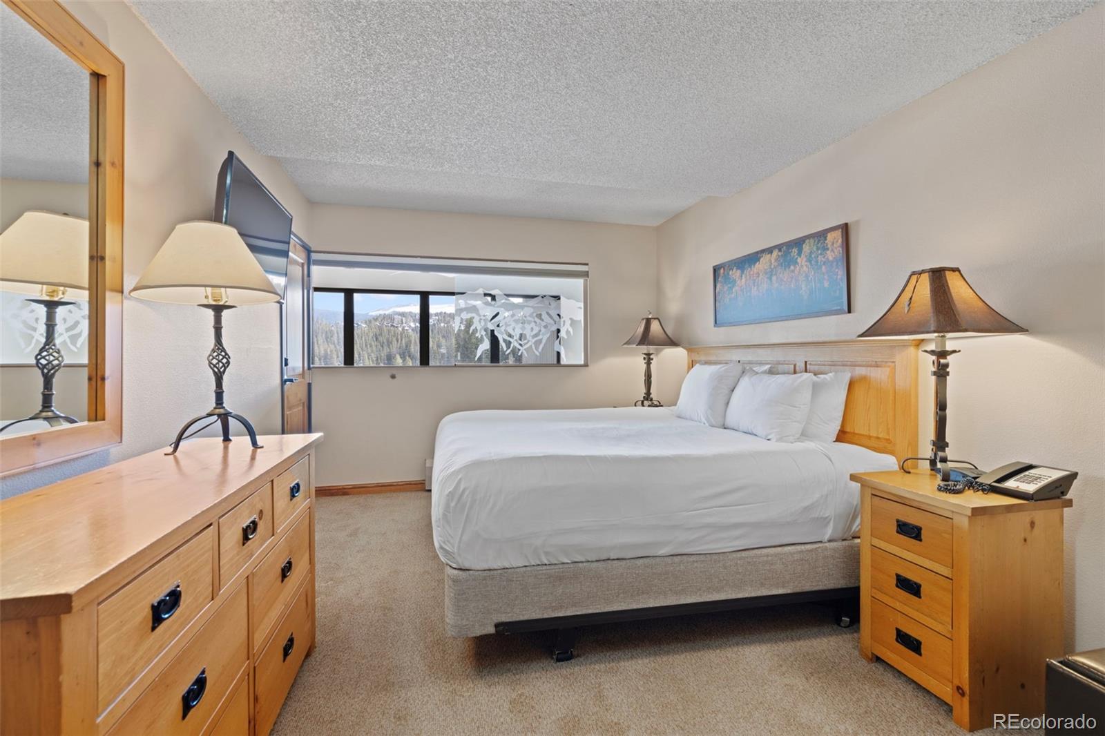MLS Image #16 for 631  village road 442,breckenridge, Colorado