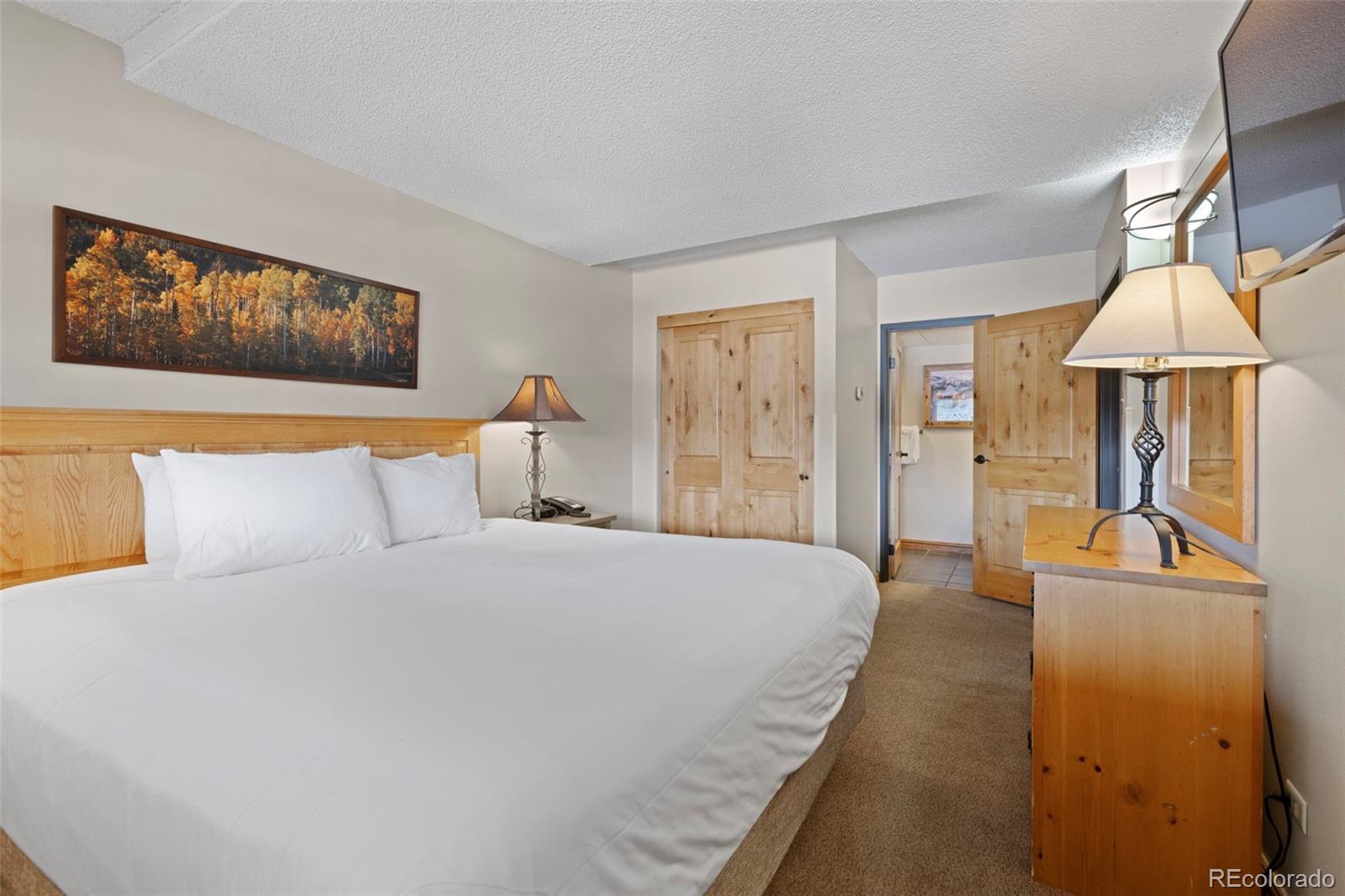 MLS Image #18 for 631  village road 442,breckenridge, Colorado