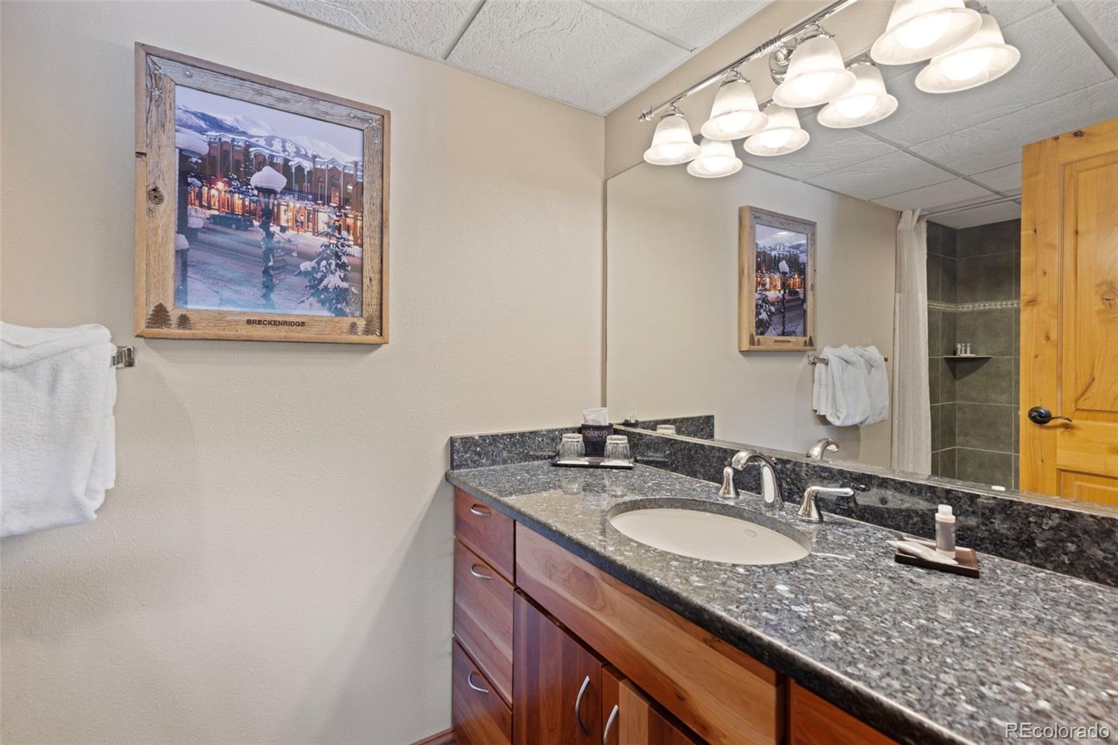 MLS Image #20 for 631  village road 442,breckenridge, Colorado