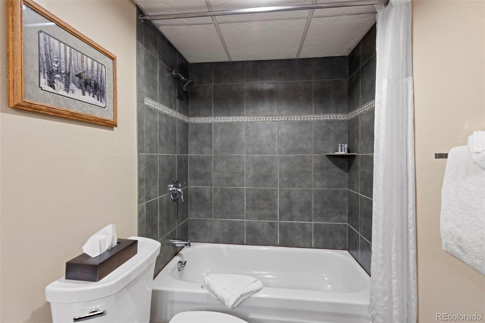 MLS Image #22 for 631  village road 442,breckenridge, Colorado