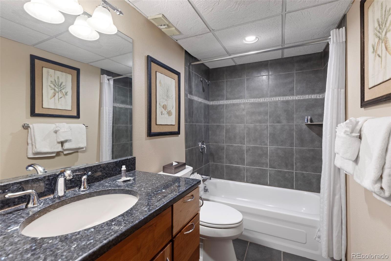 MLS Image #23 for 631  village road 442,breckenridge, Colorado