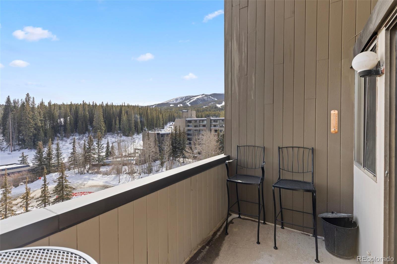 MLS Image #29 for 631  village road 442,breckenridge, Colorado