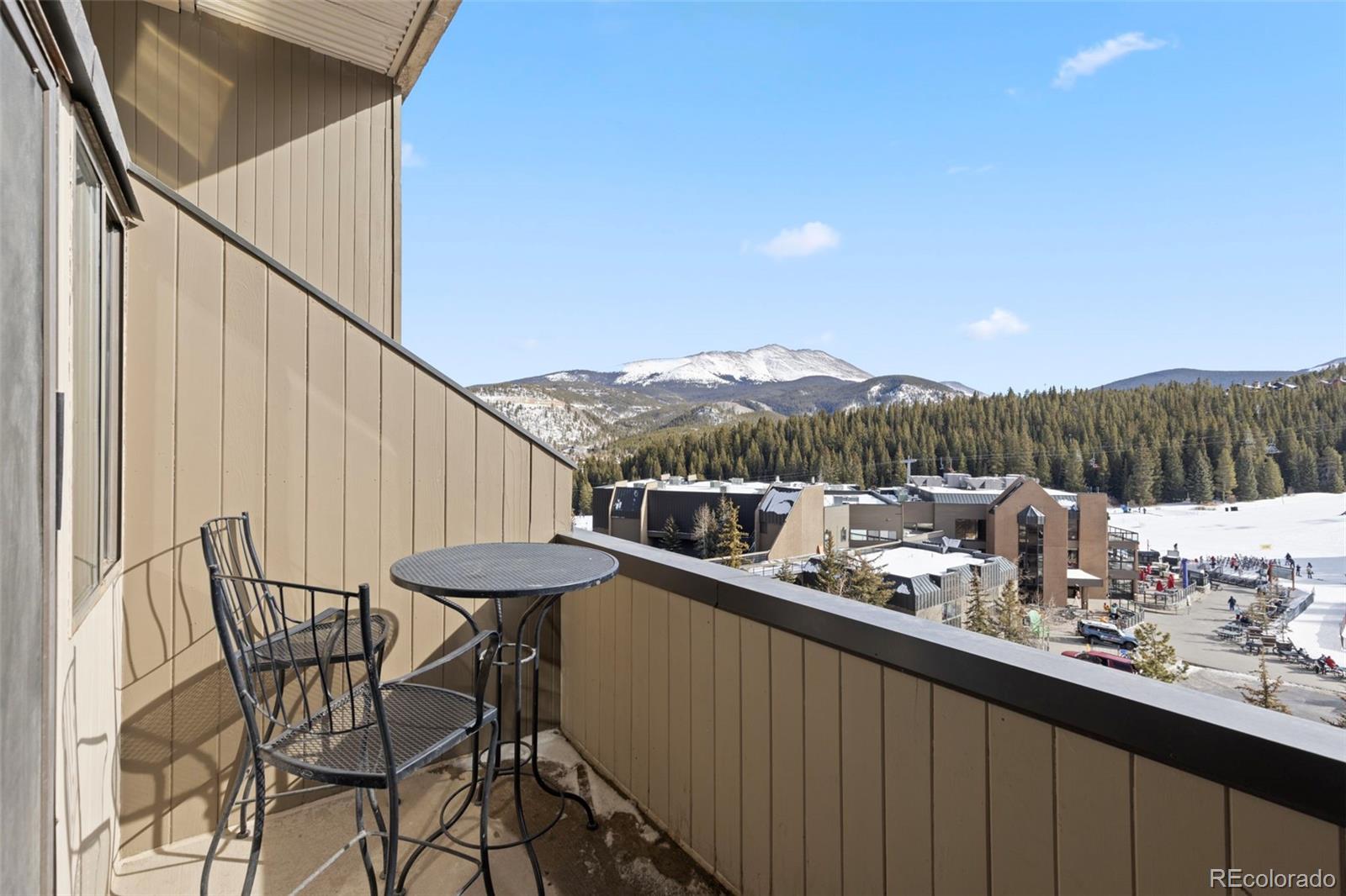 MLS Image #9 for 631  village road 442,breckenridge, Colorado