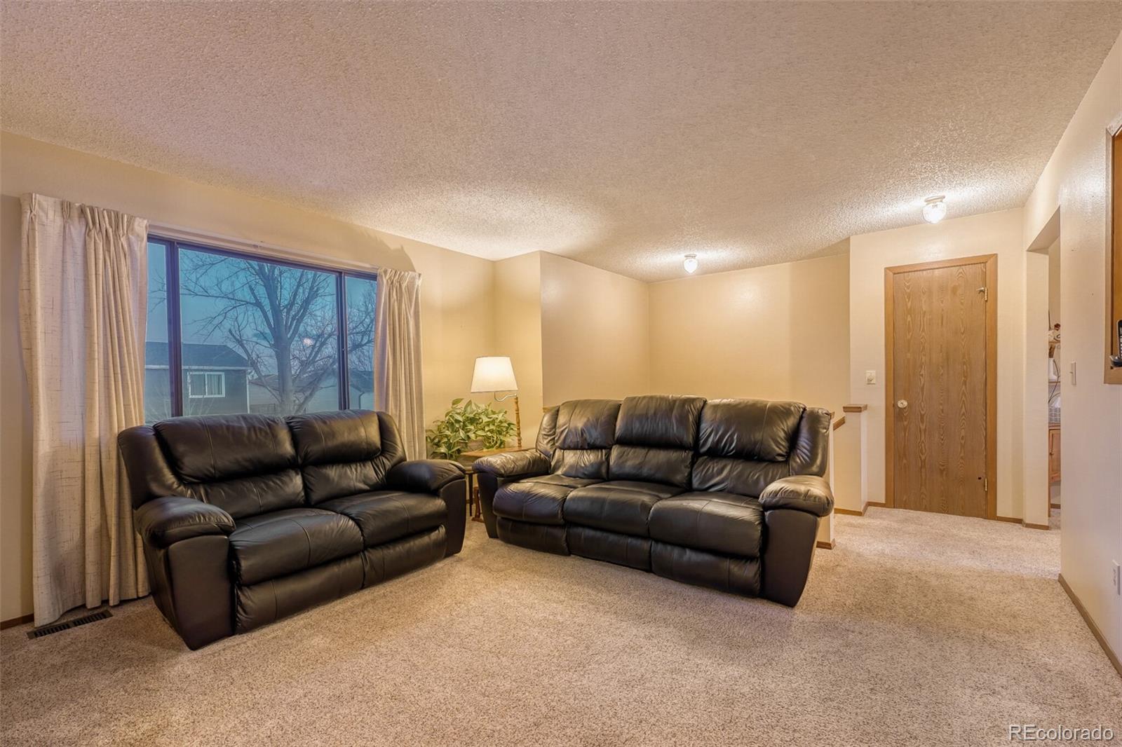 MLS Image #4 for 271  birch street,bennett, Colorado