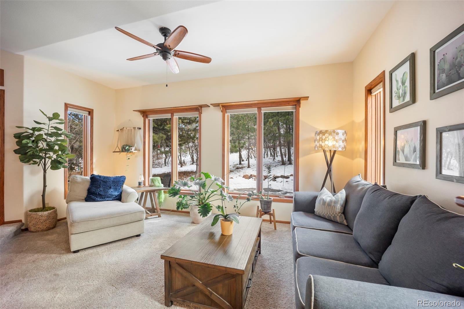 MLS Image #12 for 7405  winding oaks drive,colorado springs, Colorado