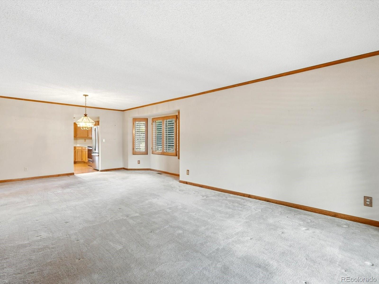 MLS Image #10 for 80  dawn heath circle,littleton, Colorado