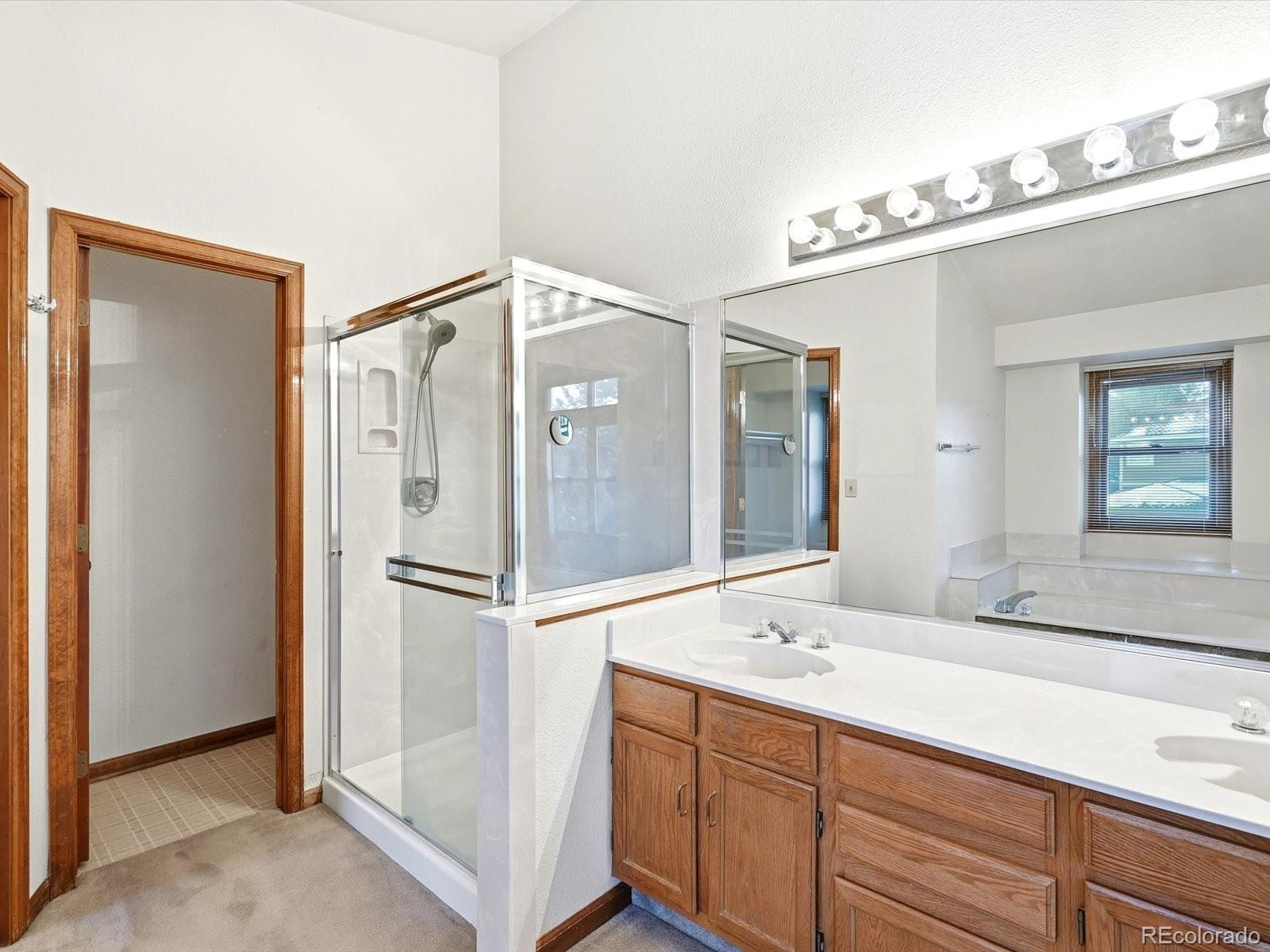 MLS Image #29 for 80  dawn heath circle,littleton, Colorado