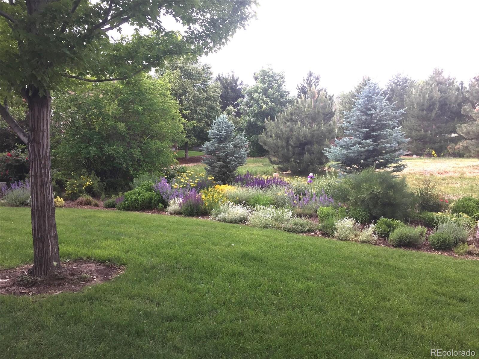 MLS Image #36 for 6569 s blackhawk way,aurora, Colorado