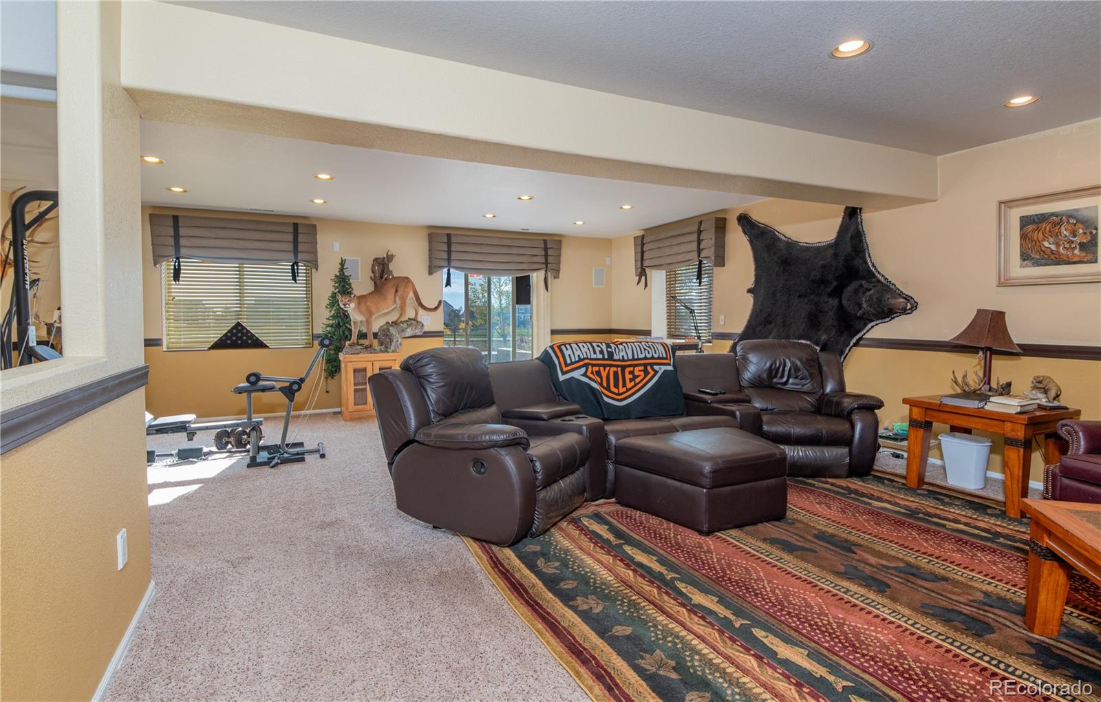 MLS Image #27 for 9385  winged foot road,peyton, Colorado
