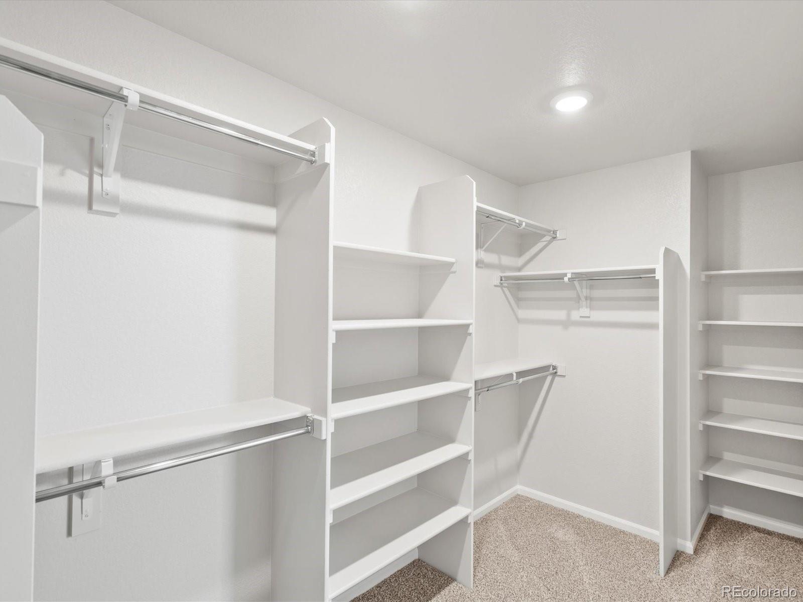 MLS Image #19 for 1593  colorado river drive,windsor, Colorado
