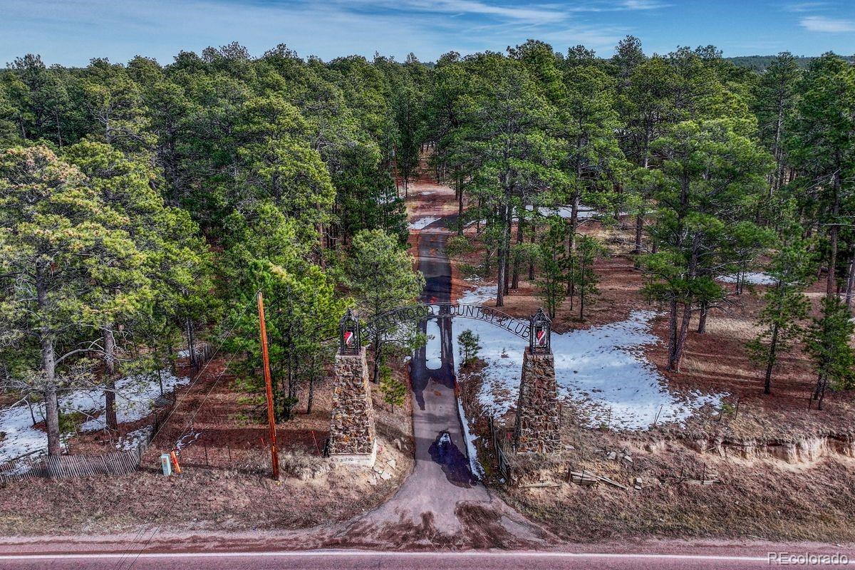 MLS Image #1 for 14425  black forest road,colorado springs, Colorado