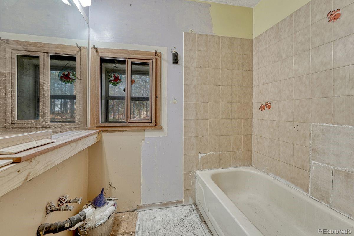 MLS Image #30 for 14425  black forest road,colorado springs, Colorado