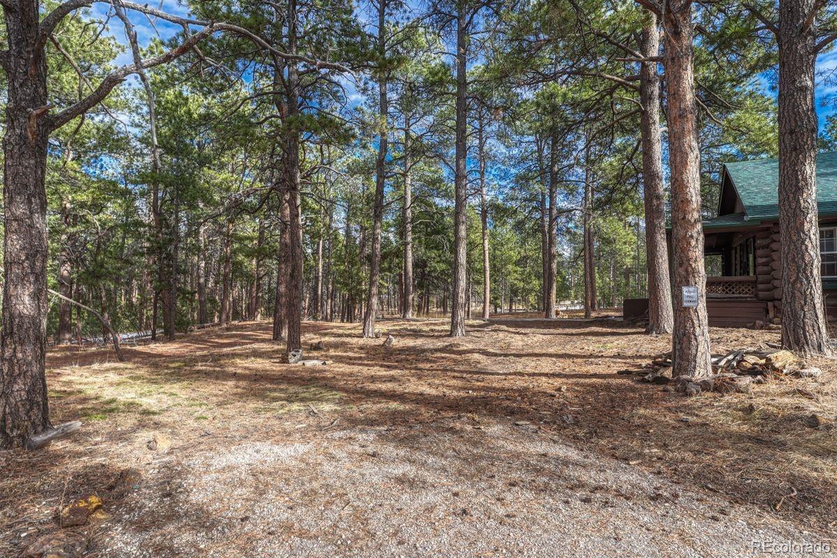 MLS Image #33 for 14425  black forest road,colorado springs, Colorado