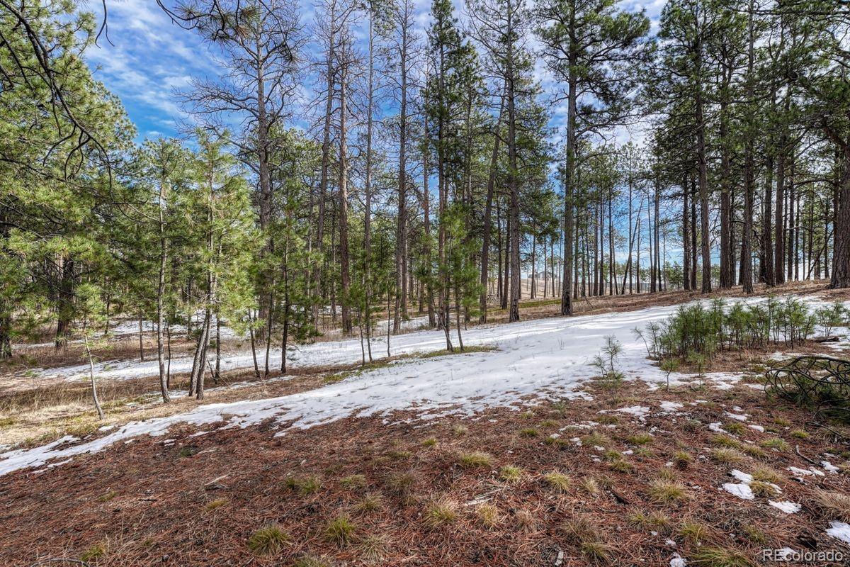 MLS Image #35 for 14425  black forest road,colorado springs, Colorado