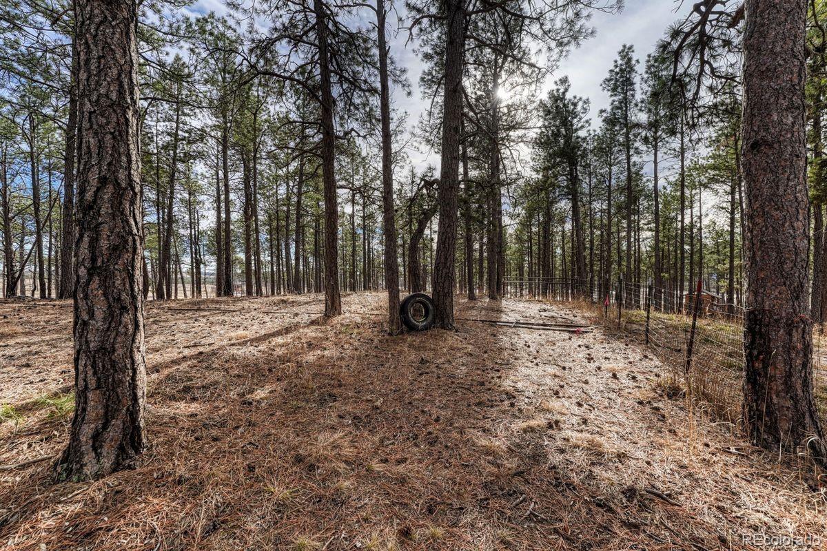 MLS Image #37 for 14425  black forest road,colorado springs, Colorado