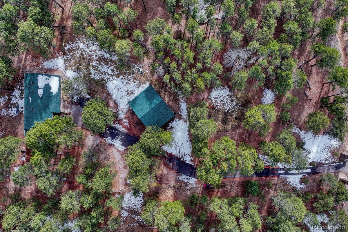 MLS Image #46 for 14425  black forest road,colorado springs, Colorado