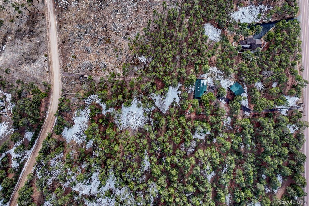 MLS Image #47 for 14425  black forest road,colorado springs, Colorado