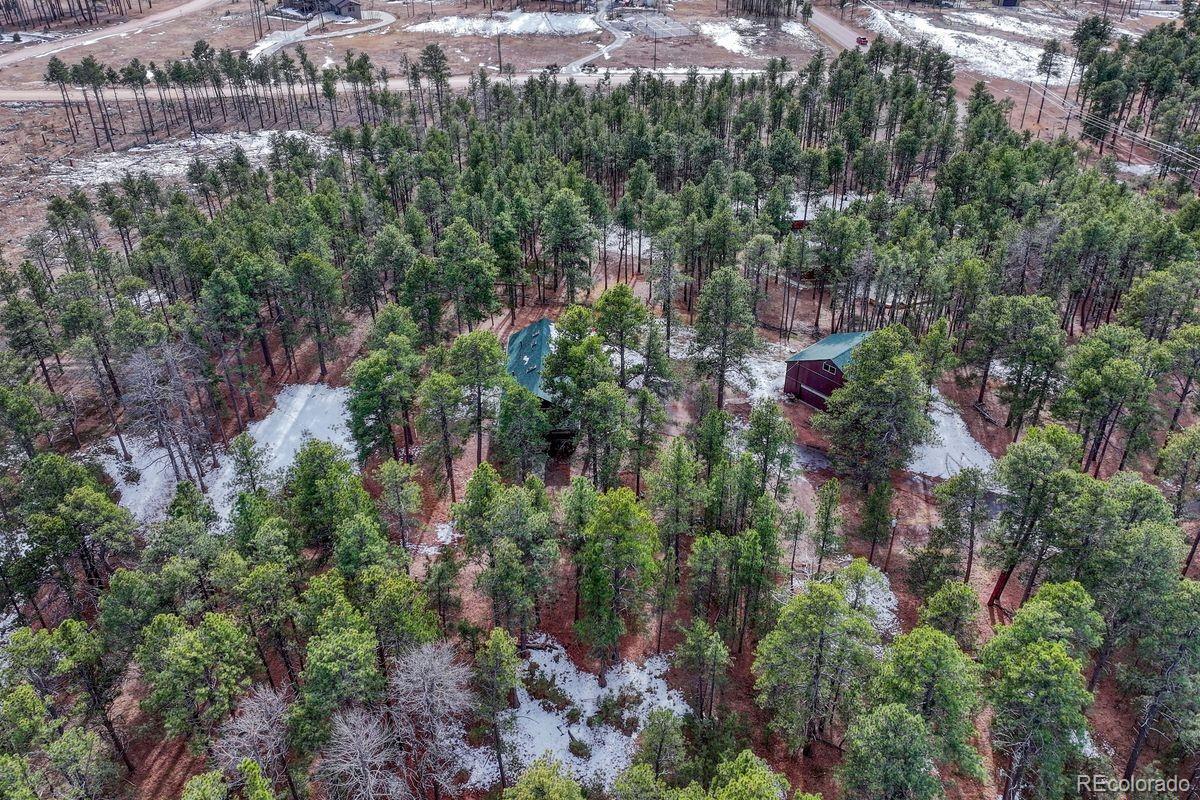 MLS Image #48 for 14425  black forest road,colorado springs, Colorado