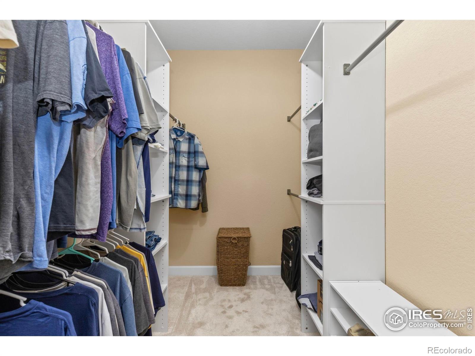 MLS Image #12 for 2745  blue sky circle,erie, Colorado