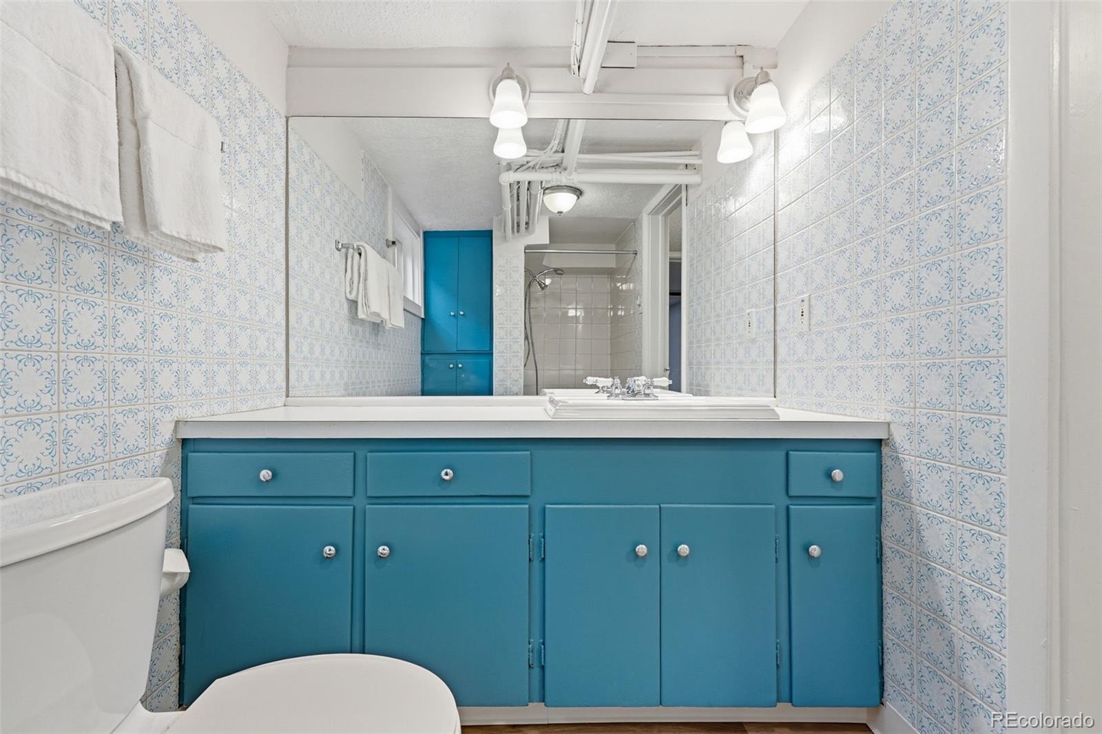 MLS Image #23 for 1244  milwaukee street,denver, Colorado